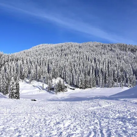 Raspberry Pool&wellness - Happy Semesterbostad