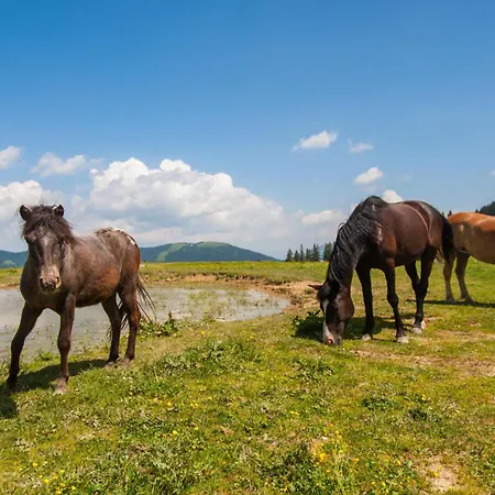 Raspberry Pool&wellness - Happy Vransko