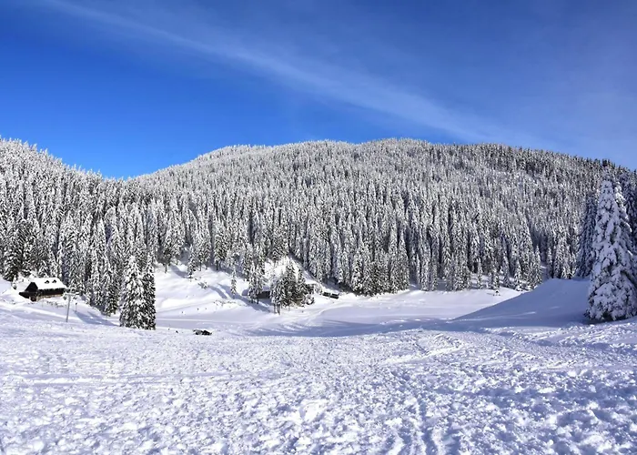 Raspberry Pool&wellness - Happy 펜션