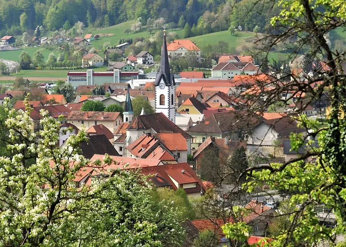 펜션 Raspberry Pool&wellness - Happy *