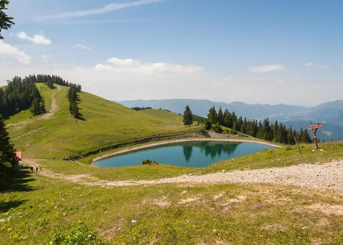 Raspberry Pool&wellness - Happy 펜션