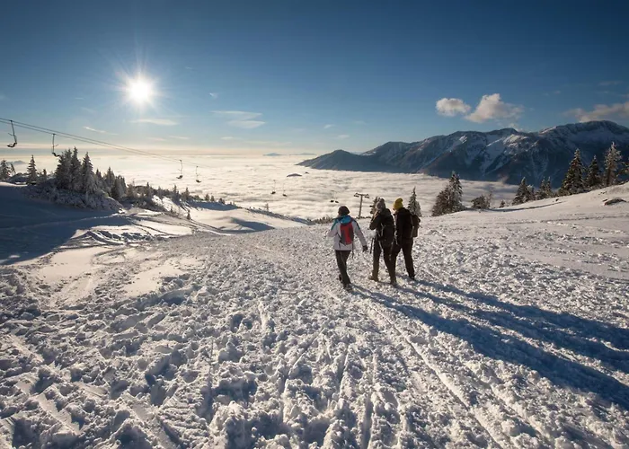 Raspberry Pool&wellness - Happy 펜션 Vransko